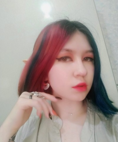 Влада, Г. Талнах